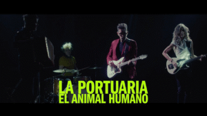 ANIMALHUMANO